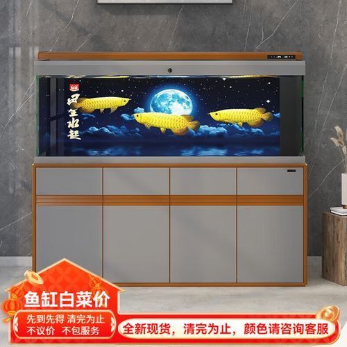 給我推薦幾款好看的龍魚缸