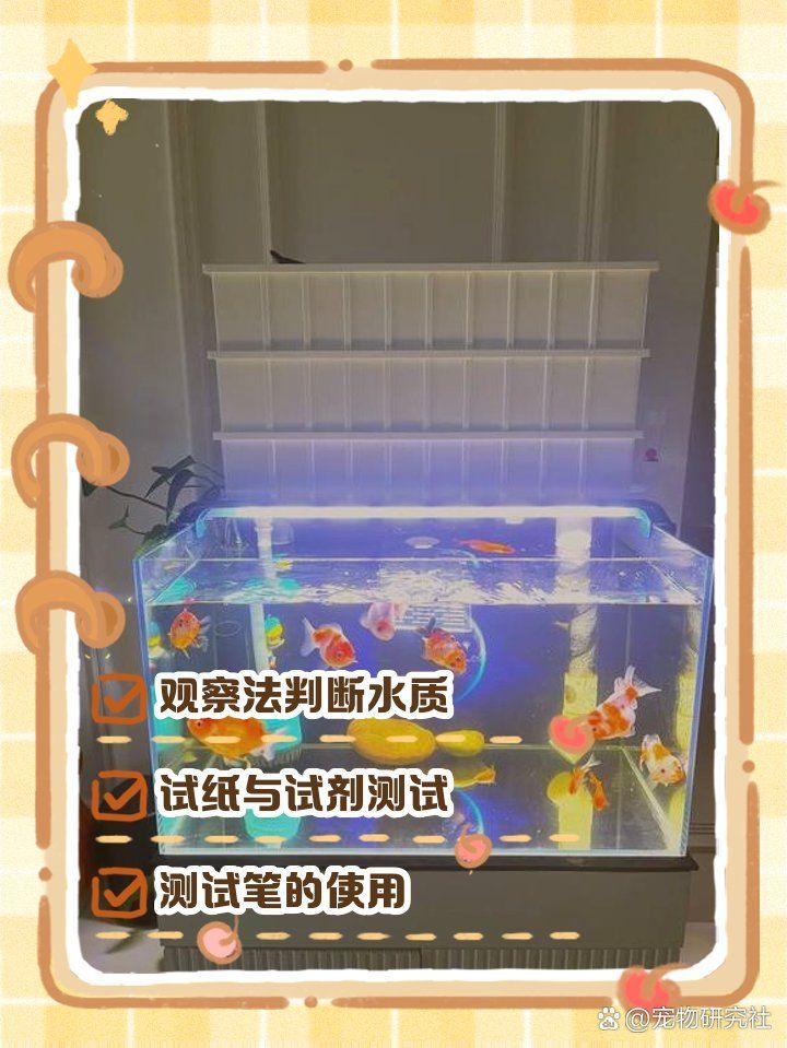 如何檢測龍魚缸的水質？，龍魚缸水質檢測方法