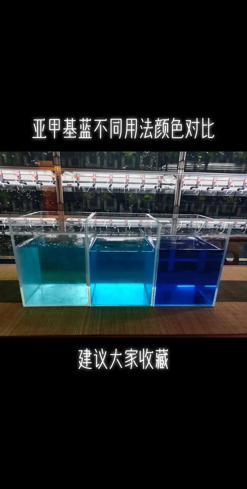 如何預防金魚再次潰爛，如何科學預防金魚再次潰爛