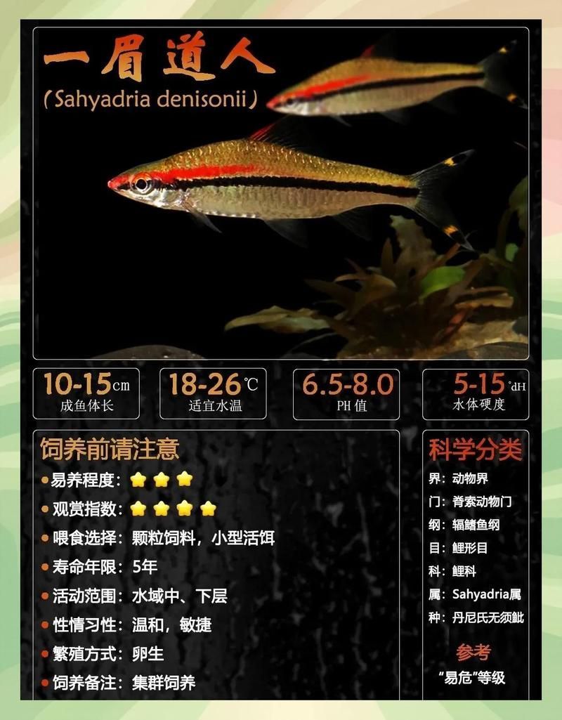 如何挑選健康的一眉道人魚？
