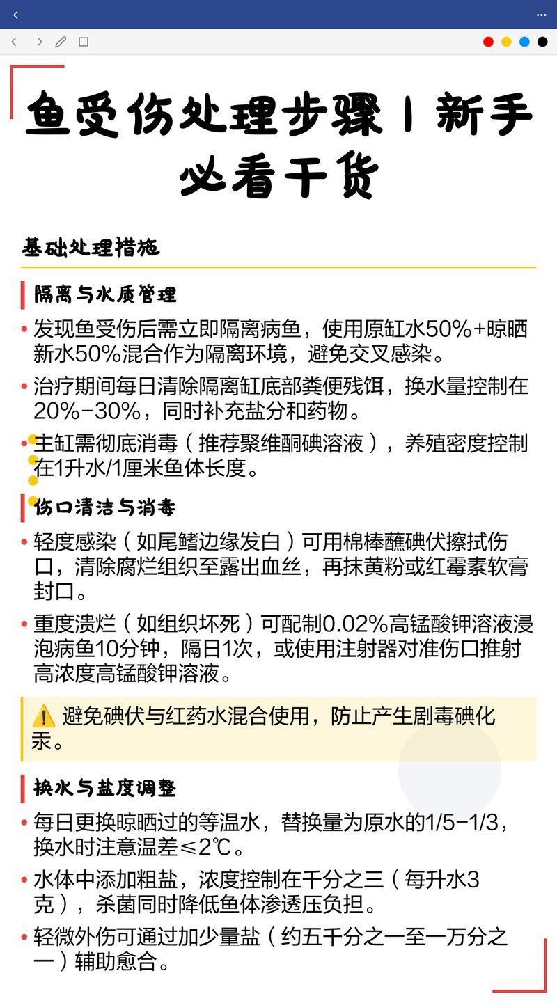 有沒有更簡單的龍魚傷口處理方法