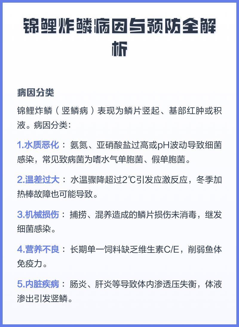 如何預(yù)防錦鯉炸鱗病