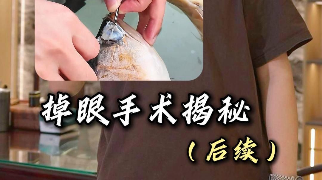 如何判斷龍魚嘴巴合不攏是否嚴(yán)重？，如何判斷龍魚嘴巴合不攏