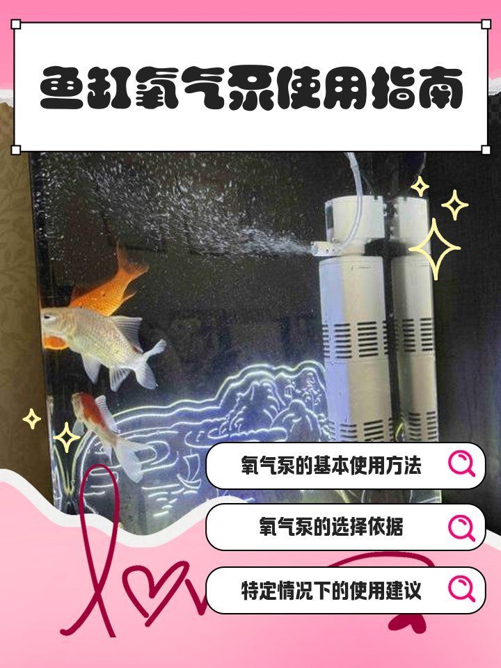 龍魚下土霉素期間需要開氣泵嗎？，龍魚下土霉素期間需要開氣泵嗎