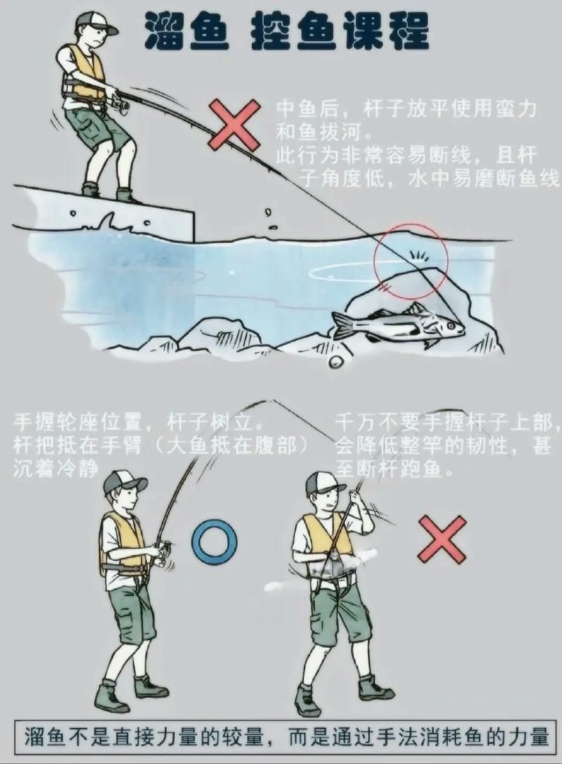 如何預防魚再次被咬傷，如何預防魚再次被咬傷調用工具arxiv論文助手