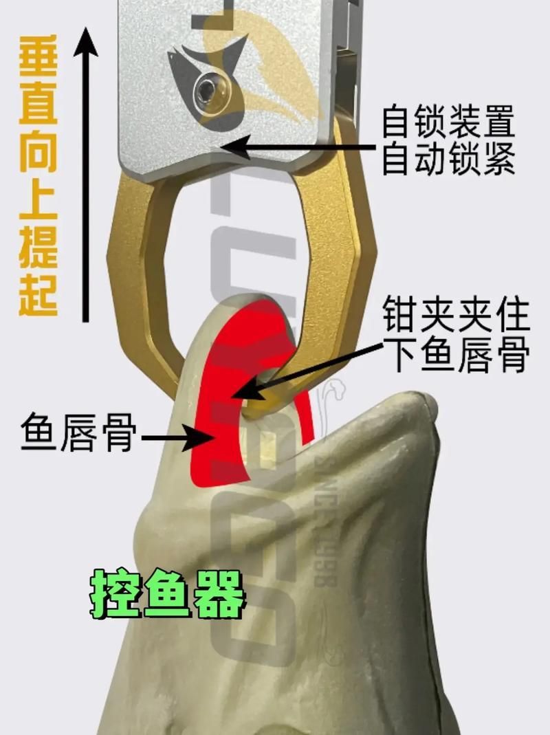 如何預防魚再次被咬傷，如何預防魚再次被咬傷調用工具arxiv論文助手