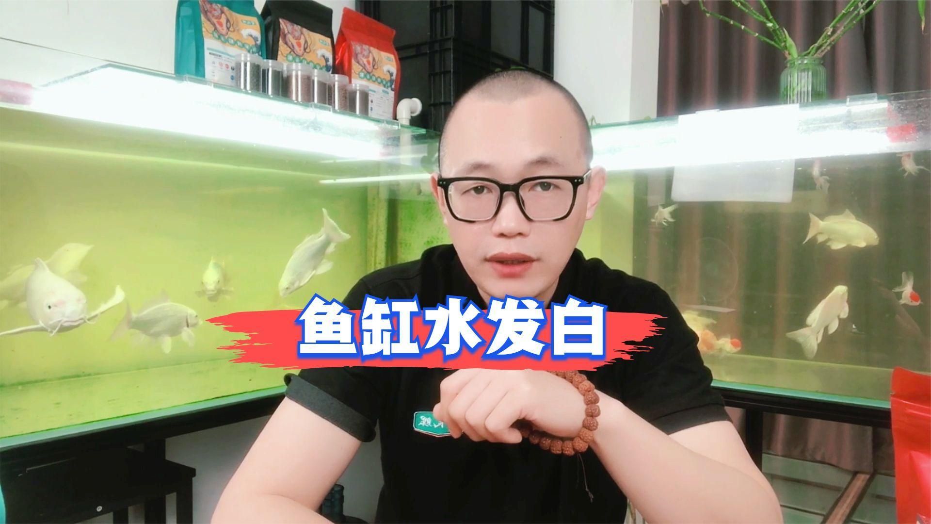 魚(yú)缸水發(fā)白時(shí)應(yīng)該換多少水？，魚(yú)缸水發(fā)白時(shí)應(yīng)該換多少水，