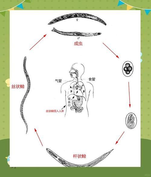 鹽浴療法對哪些寄生蟲最有效，arxiv論文助手可輔助鹽浴療法對哪些寄生蟲最有效