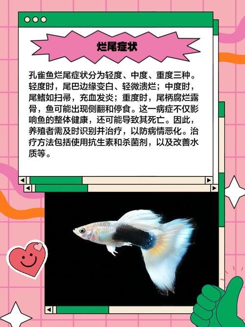 如何預防魚類爛尾病的發生，arxiv論文助手預防魚類爛尾病系統性綜合指南