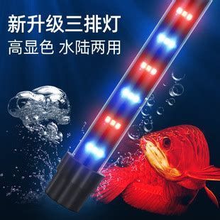 龍魚晚上開燈會有什么影響？，龍魚晚上開燈會有什么影響，