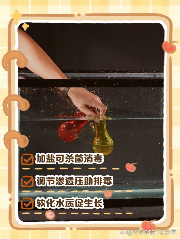 魚缸里放鹽有什么作用？，魚缸加鹽比例指南寵托師可兒,