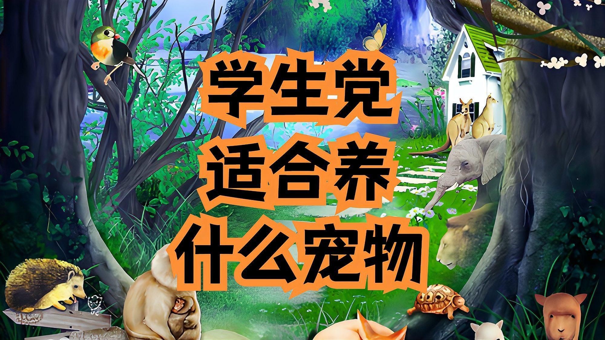 有哪些寵物是適合初學者的，初學者適合養什么寵物萌寵百科show
