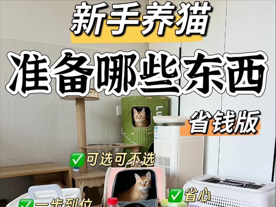 有哪些寵物是適合初學者的，初學者適合養什么寵物萌寵百科show