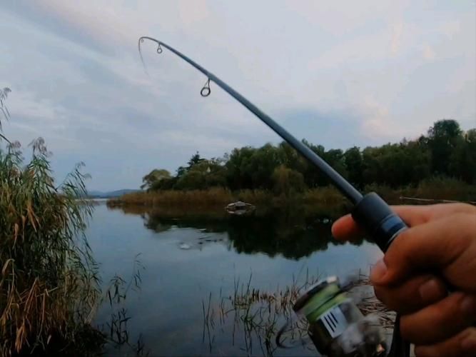 觀魚釣魚裝備推薦，觀魚釣魚裝備推薦：觀魚釣魚裝備推薦指南（1000字和配圖）
