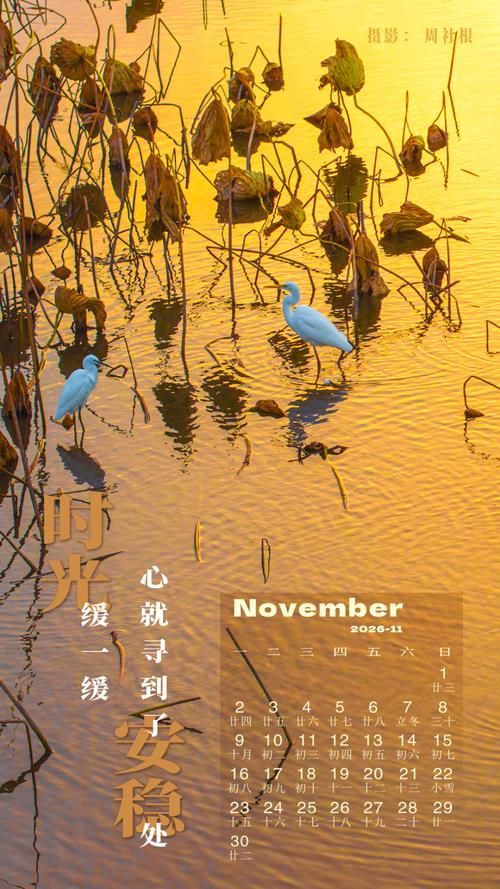 推薦一些當(dāng)前的豎屏壁紙?jiān)O(shè)計(jì)案例，當(dāng)前流行的豎屏壁紙?jiān)O(shè)計(jì)案例，豎屏壁紙?jiān)O(shè)計(jì)案例推薦