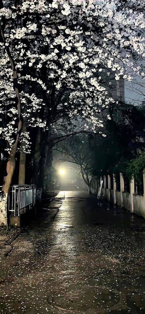 推薦一些當(dāng)前的豎屏壁紙?jiān)O(shè)計(jì)案例，當(dāng)前流行的豎屏壁紙?jiān)O(shè)計(jì)案例，豎屏壁紙?jiān)O(shè)計(jì)案例推薦