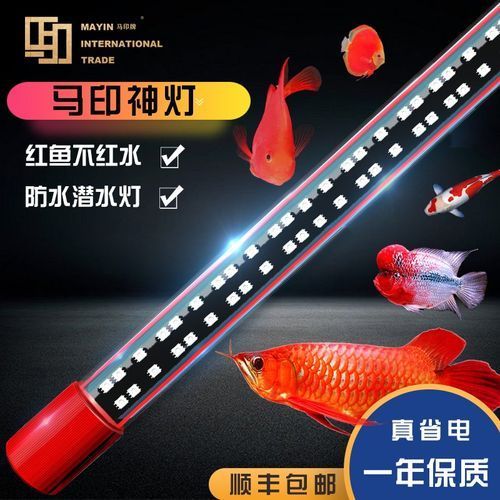 推薦幾款適合龍魚的光照設(shè)備，幾款適合龍魚的光照設(shè)備