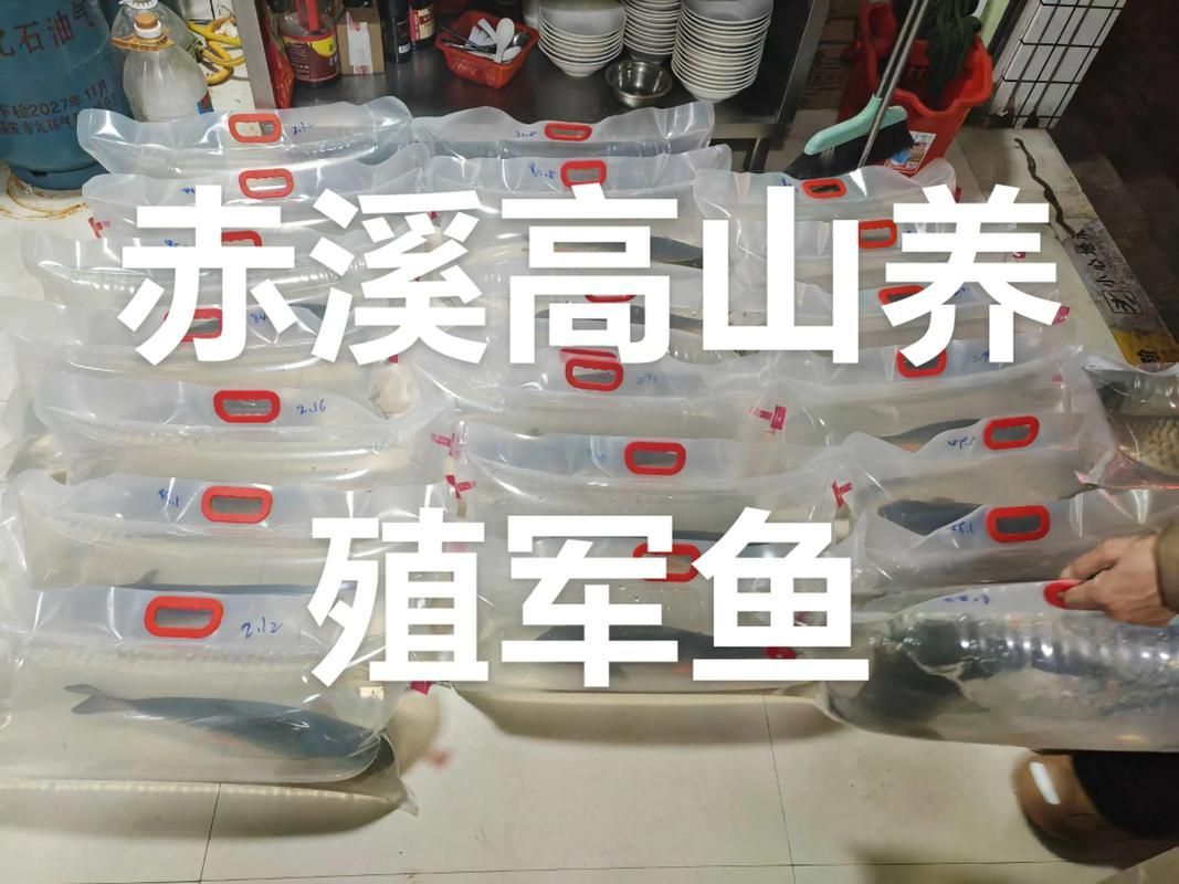 如何聯系漁場獲取幼魚？，如何聯系漁場獲取幼魚
