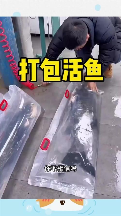如何聯系漁場獲取幼魚？，如何聯系漁場獲取幼魚