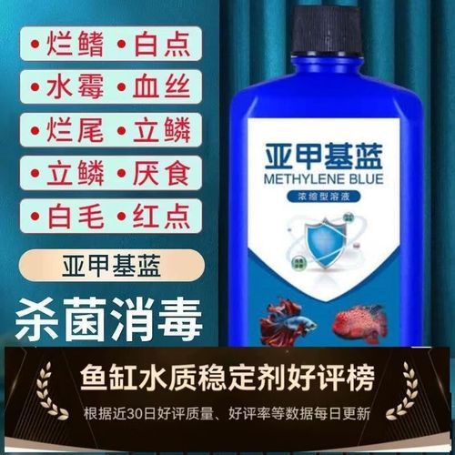魚缸水細菌感染如何治療？，魚缸水細菌感染的治療