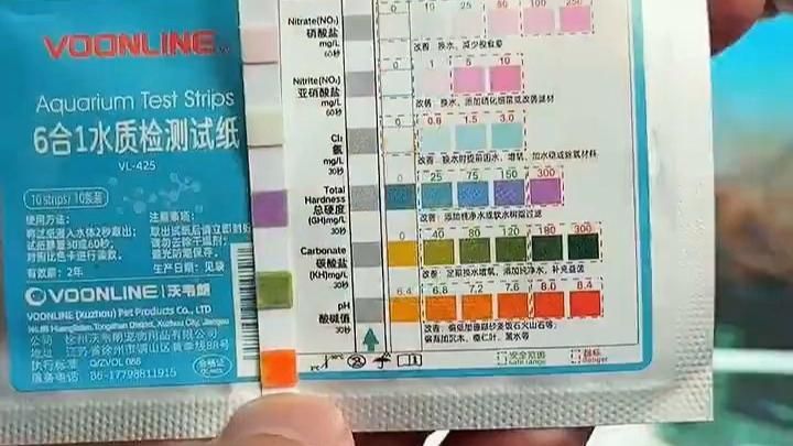 如何檢測龍魚缸的水質？，如何判斷龍魚缸的水質是否良好？
