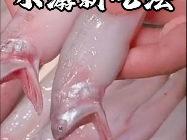 小白龍魚有哪些食用方法？