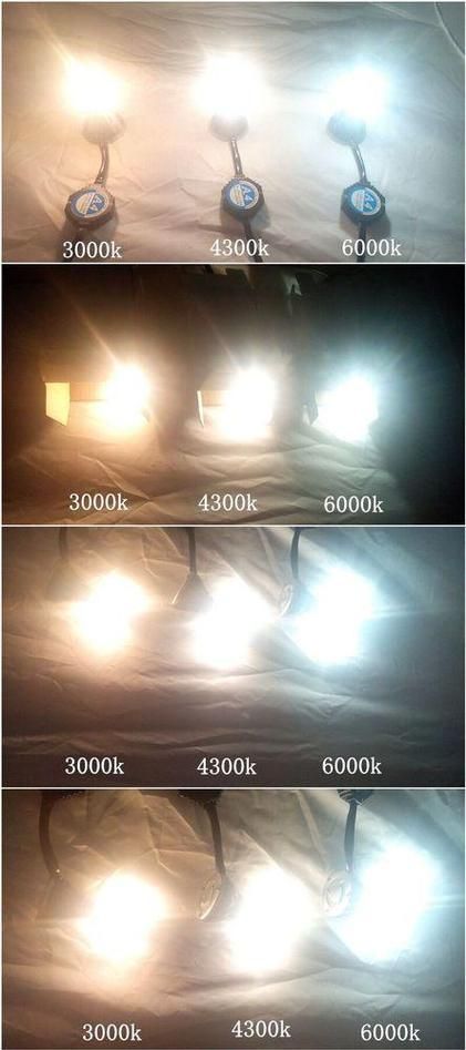 龍魚燈6700K與6500K哪個更耗電？，龍魚燈6700k與6500k功耗對比