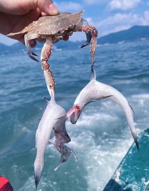 補(bǔ)魚時(shí)需要注意哪些事項(xiàng)，補(bǔ)魚時(shí)需要注意以下幾個(gè)事項(xiàng)，