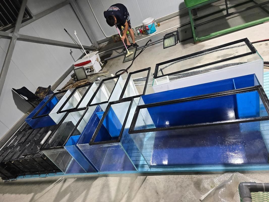 久鼎龍魚缸的材質有哪些，久鼎魚缸的材質
