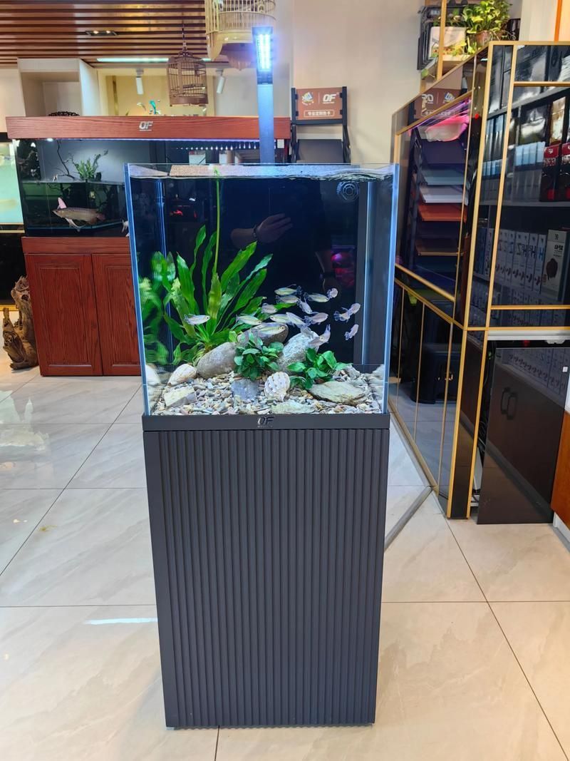 如何辨別仟湖魚缸的真偽？，仟湖魚缸的真偽鑒別方法
