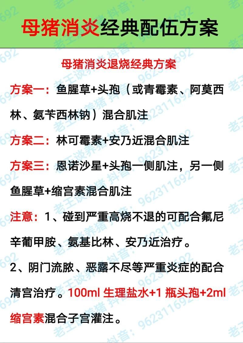 能否提供更多藥物治療方案的圖片，藥物治療方案圖片可以展開嗎？