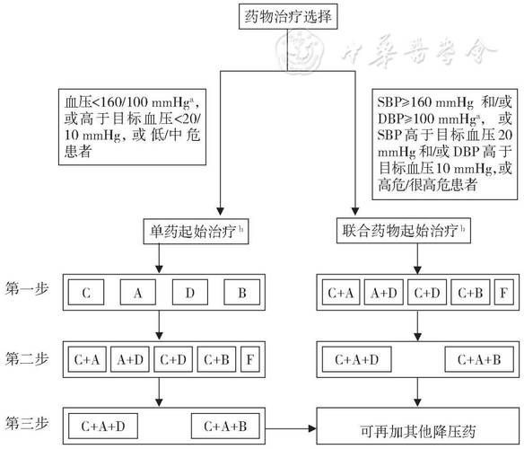 能否提供更多藥物治療方案的圖片，藥物治療方案圖片可以展開嗎？