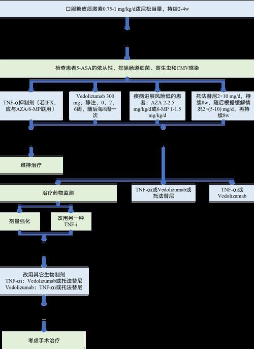 能否提供更多藥物治療方案的圖片，藥物治療方案圖片可以展開嗎？