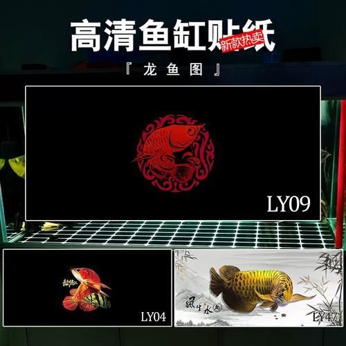 過(guò)背金龍魚(yú)缸背景貼紙推薦，過(guò)背金龍魚(yú)缸背景貼紙推薦調(diào)用工具百度優(yōu)選展開(kāi)