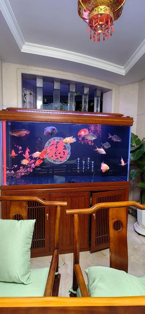 過(guò)背金龍魚(yú)缸背景貼紙推薦，過(guò)背金龍魚(yú)缸背景貼紙推薦調(diào)用工具百度優(yōu)選展開(kāi)