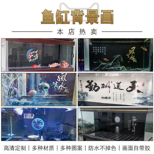 過(guò)背金龍魚(yú)缸背景貼紙推薦，過(guò)背金龍魚(yú)缸背景貼紙推薦調(diào)用工具百度優(yōu)選展開(kāi)