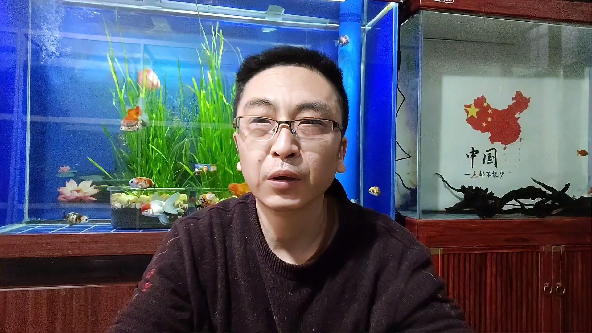 魚爛尾爛鰭最簡單三個原因，魚爛尾爛鰭怎么辦