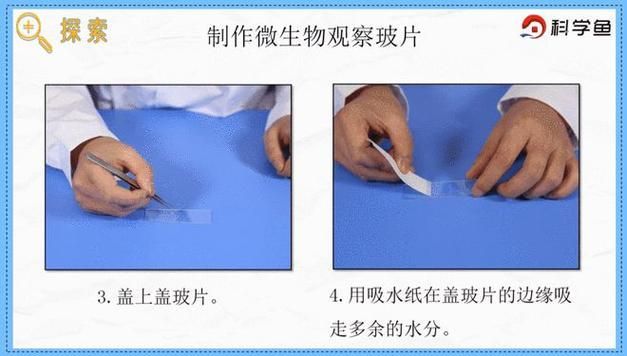 如何預(yù)防魚被細菌感染，如何科學(xué)預(yù)防魚類細菌感染