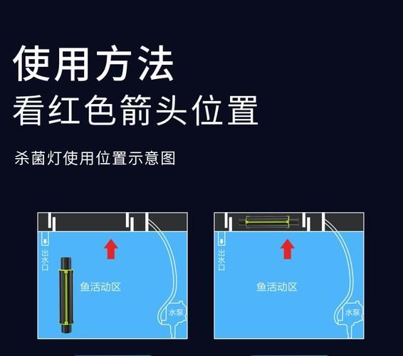 如何預(yù)防魚被細菌感染，如何科學(xué)預(yù)防魚類細菌感染