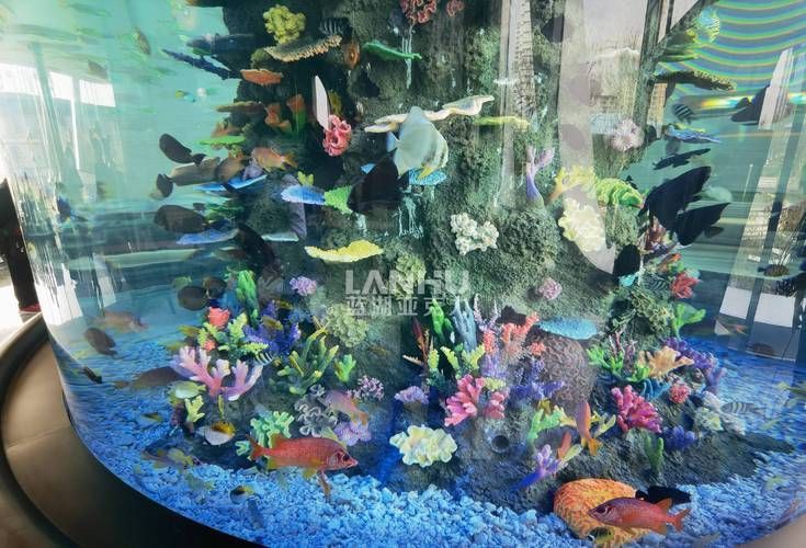 如何預(yù)防魚被細菌感染，如何科學(xué)預(yù)防魚類細菌感染