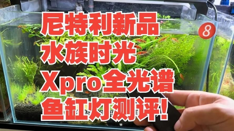 哪個品牌的魚缸燈評價最好？，哪個品牌的魚缸燈評價最好