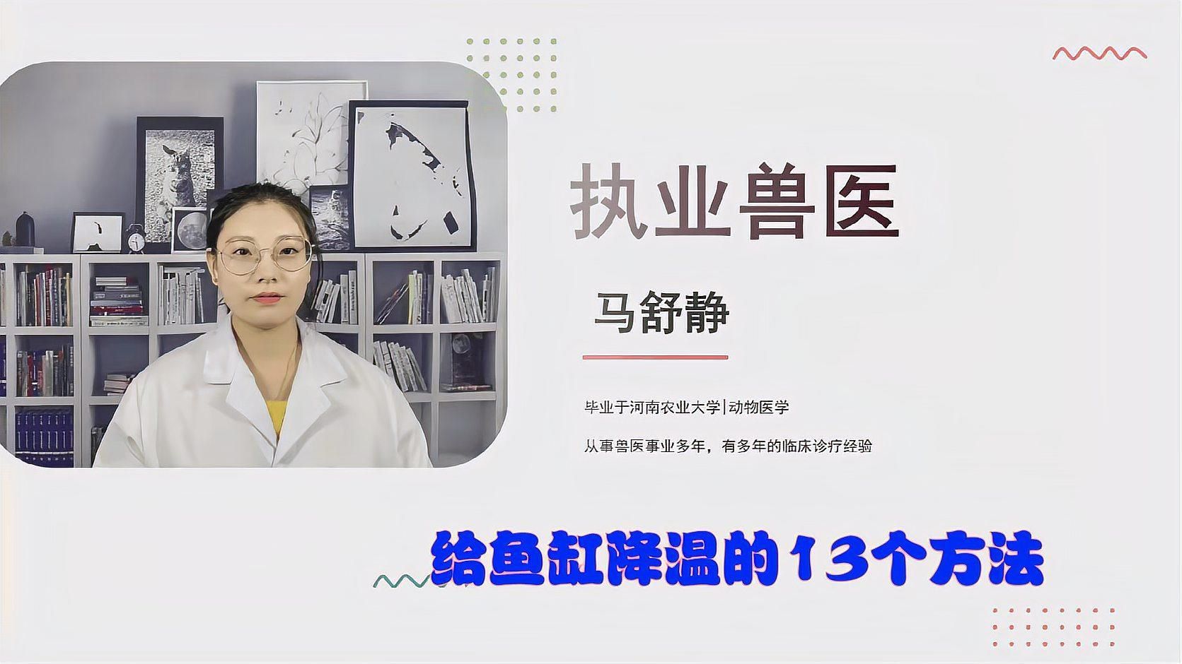 有哪些方法可以緊急降低魚缸水溫？，夏天魚缸緊急降溫5大妙招讓魚兒舒適過夏漫影小孫