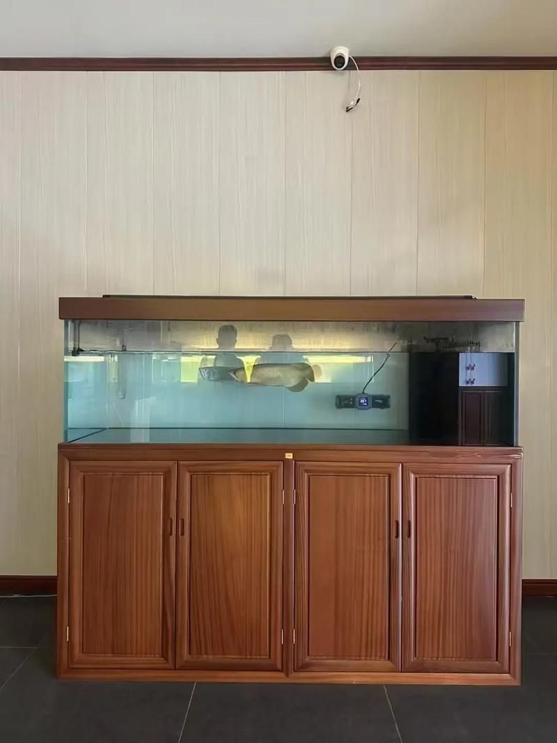 祥龍魚場有哪些主流的魚缸型號？，祥龍魚場主流魚缸型號