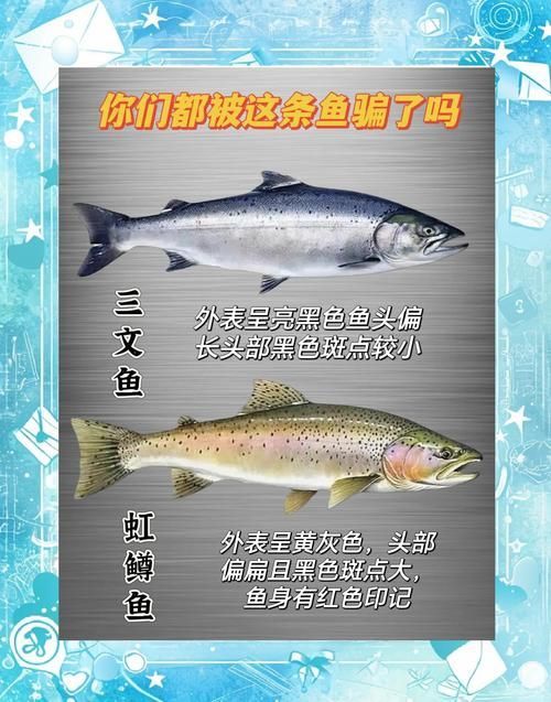 如何預防魚尾鰭充血，如何預防魚尾充血