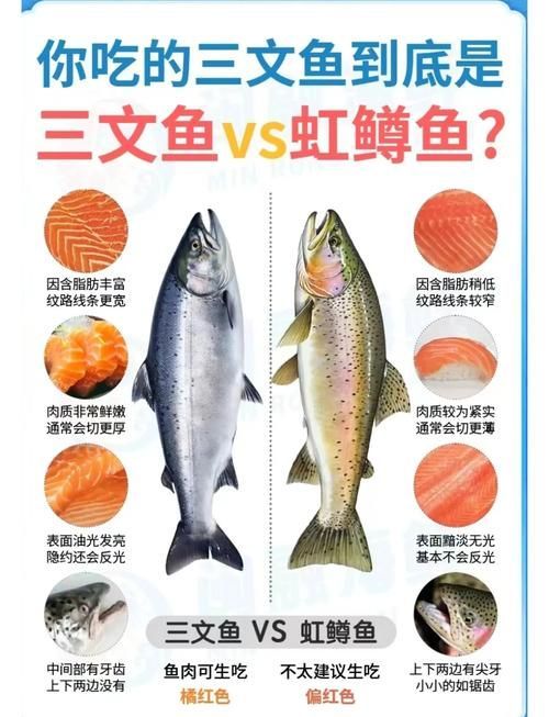 如何預防魚尾鰭充血，如何預防魚尾充血