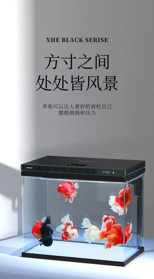 推薦幾款性價比高的風(fēng)水魚缸品牌，2025家用魚缸品牌排行榜:2025家用魚缸品牌排行榜