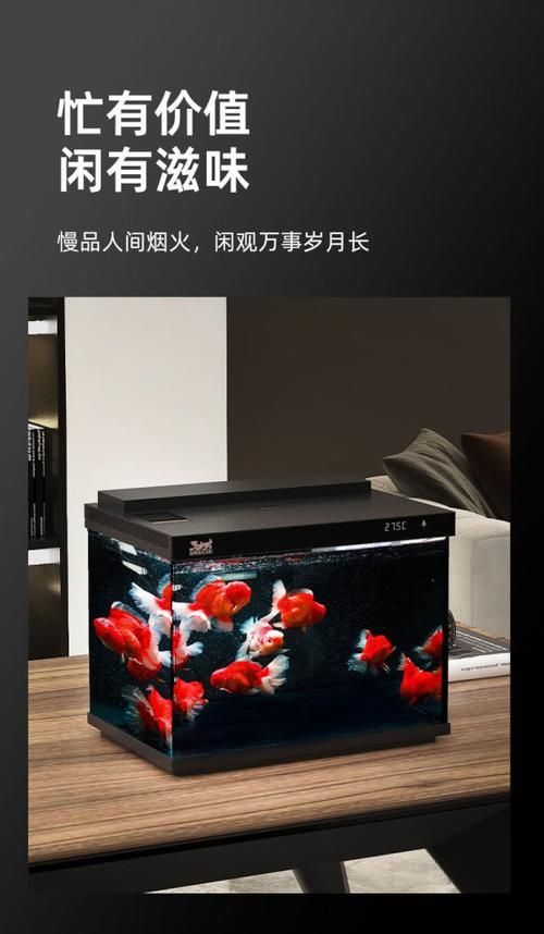 推薦幾款性價比高的風(fēng)水魚缸品牌，2025家用魚缸品牌排行榜:2025家用魚缸品牌排行榜