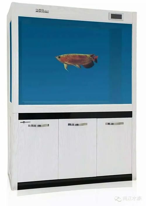 閩江魚(yú)缸有哪些型號(hào)推薦？，閩江魚(yú)缸型號(hào)推薦