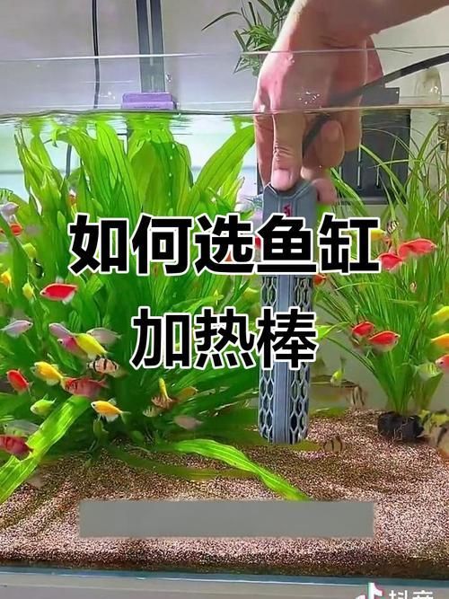 如何配置龍魚養殖設備，關于龍魚養殖設備選擇