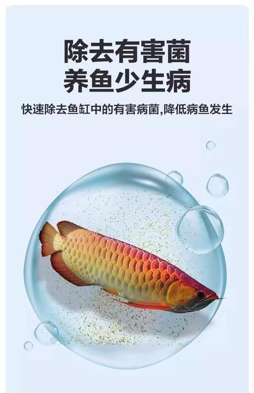 給我一些預防魚充血的圖片，如何預防魚充血